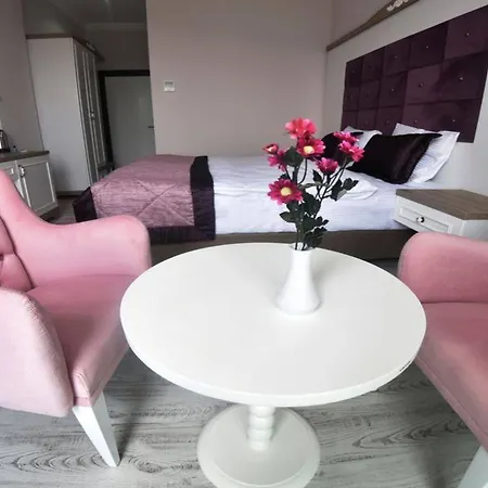 Sozturk فندق إركمِن